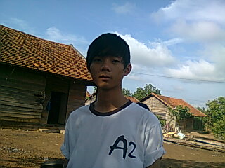Hinh